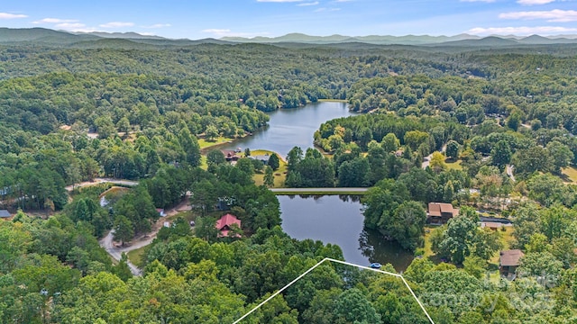 aerial view of property's location with a water and mountain view, a heavily wooded area, and property parcel outlined