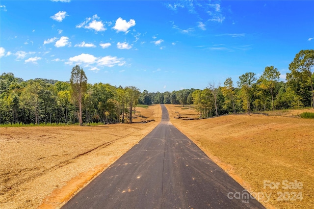 173 Laurel Cove Rd, Statesville NC, 28677 land for sale