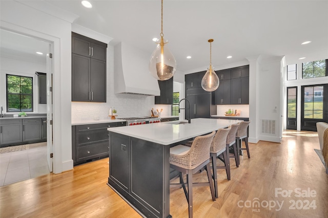 kitchen featuring an island with sink, a wealth of natural light, light hardwood / wood-style floors, and sink