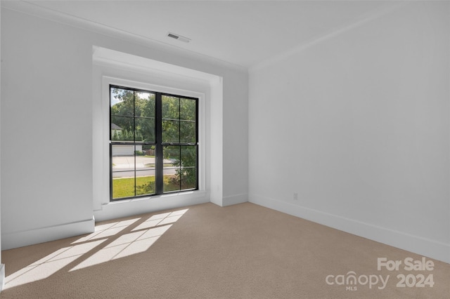 unfurnished room featuring ornamental molding, light colored carpet, and plenty of natural light