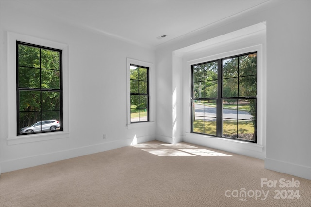 empty room featuring light colored carpet and a healthy amount of sunlight