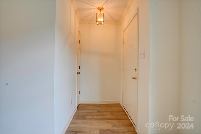 doorway to outside with light wood-type flooring, crown molding, and a textured ceiling