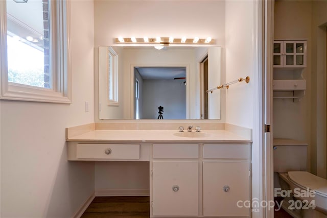 bathroom featuring vanity, toilet, and wood-type flooring