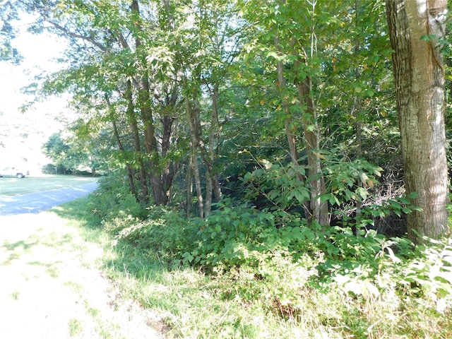 Listing photo 3 for TBD Kates Ln, Bakersville NC 28705