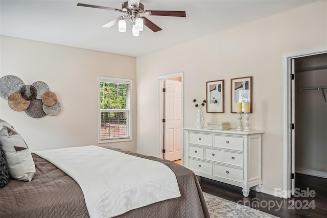 bedroom with dark hardwood / wood-style flooring, a spacious closet, ceiling fan, and a closet