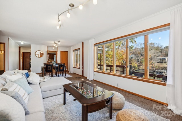 carpeted living room featuring ornamental molding