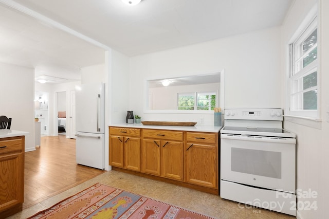 kitchen featuring light hardwood / wood-style flooring and white appliances