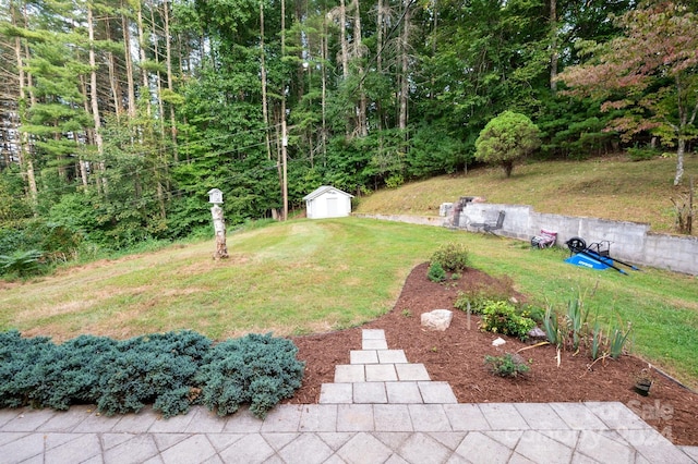 view of yard featuring a storage shed