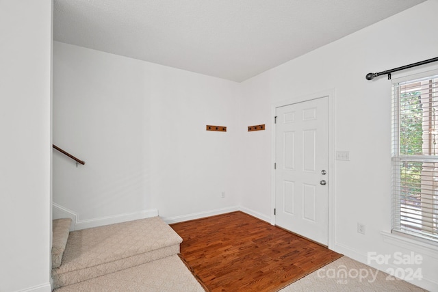 entrance foyer featuring wood-type flooring