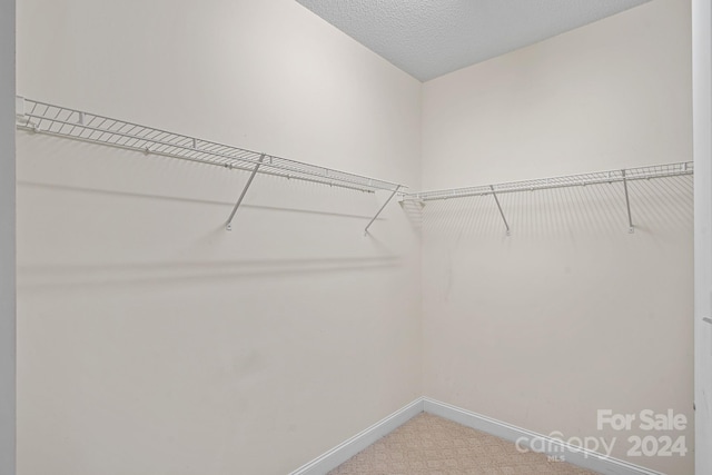 walk in closet featuring carpet