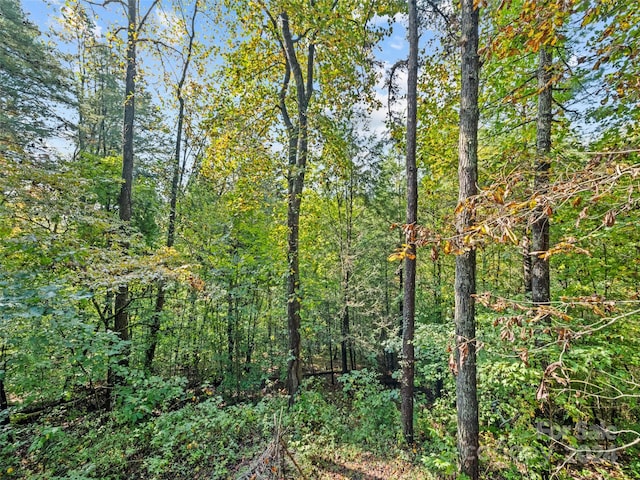 view of local wilderness