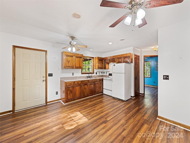 kitchen featuring ceiling fan, sink, dark hardwood / wood-style flooring, and white appliances