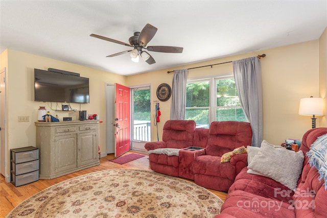 living room with ceiling fan and light hardwood / wood-style floors