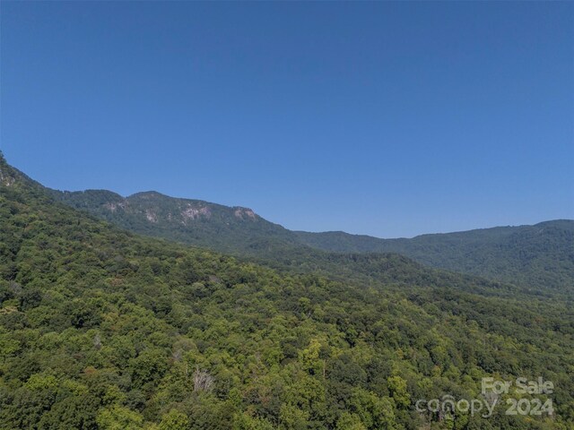 view of mountain feature