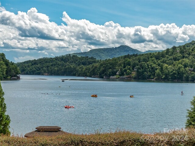 property view of water featuring a mountain view