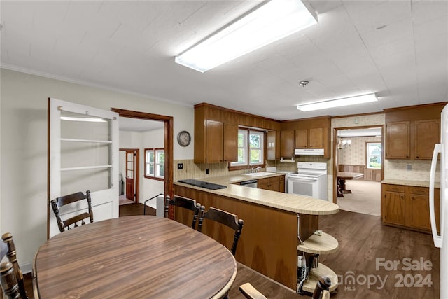 kitchen featuring white electric range, a healthy amount of sunlight, kitchen peninsula, and decorative backsplash