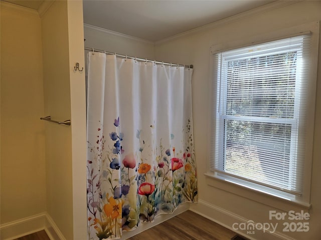 bathroom with wood-type flooring and ornamental molding