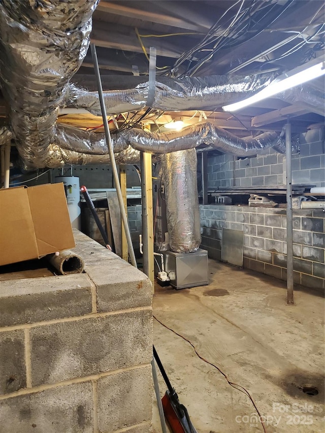 basement with electric water heater