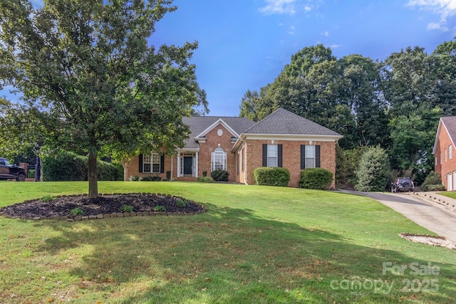 view of front of house featuring brick siding, concrete driveway, and a front yard