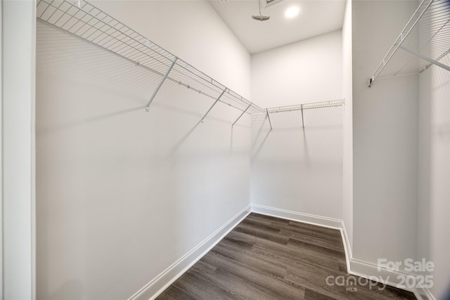 spacious closet with dark wood-type flooring