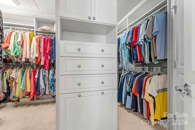 walk in closet featuring light carpet