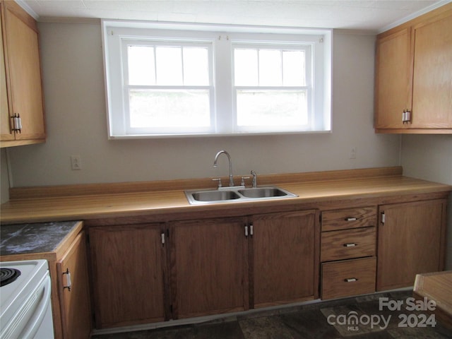 kitchen featuring a wealth of natural light, white range with electric cooktop, and sink