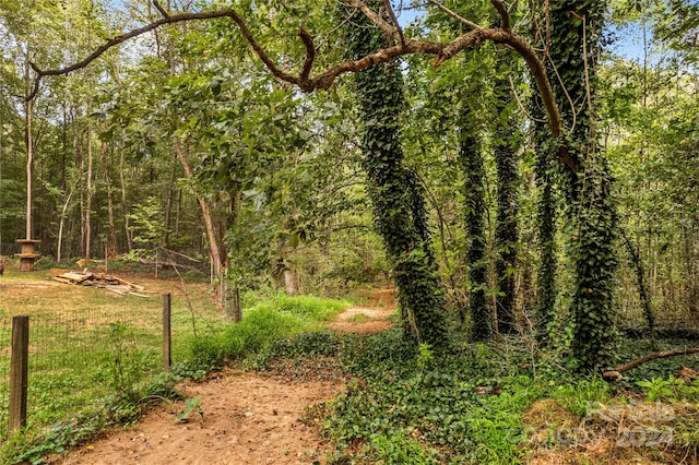 view of local wilderness