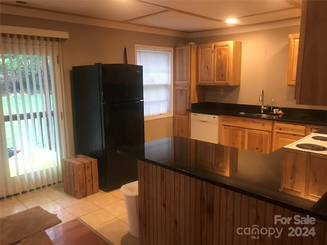 kitchen with a healthy amount of sunlight, sink, and white appliances