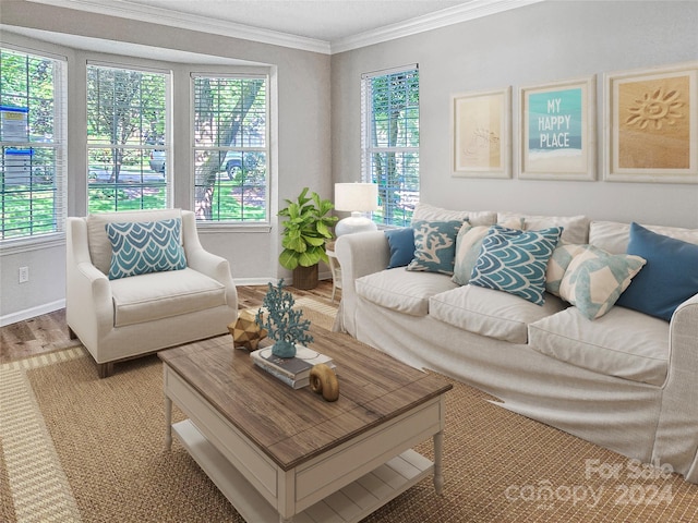 living room with ornamental molding and light hardwood / wood-style flooring