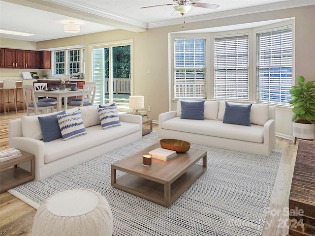 living room with a textured ceiling, ceiling fan, ornamental molding, and light hardwood / wood-style floors