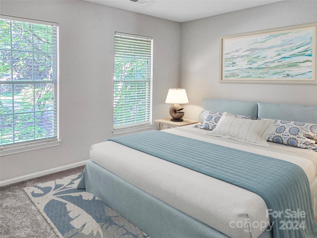 bedroom featuring carpet flooring