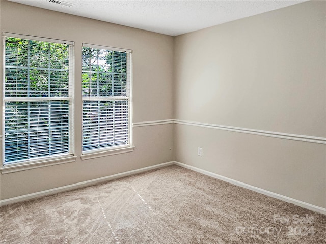 empty room featuring a textured ceiling and carpet flooring