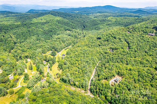 TBD Big Branch Rd, Brevard NC, 28712 land for sale