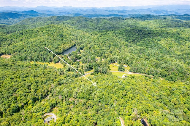 Listing photo 3 for TBD Big Branch Rd, Brevard NC 28712