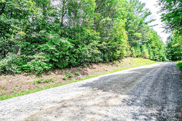 Listing photo 2 for TBD Big Branch Rd, Brevard NC 28712