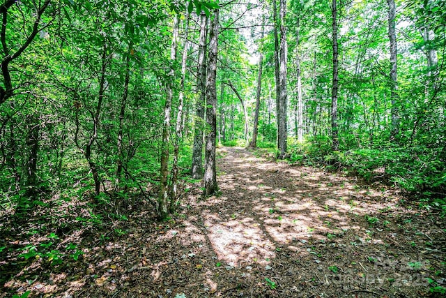 Listing photo 3 for TBD Big Branch Rd, Brevard NC 28712