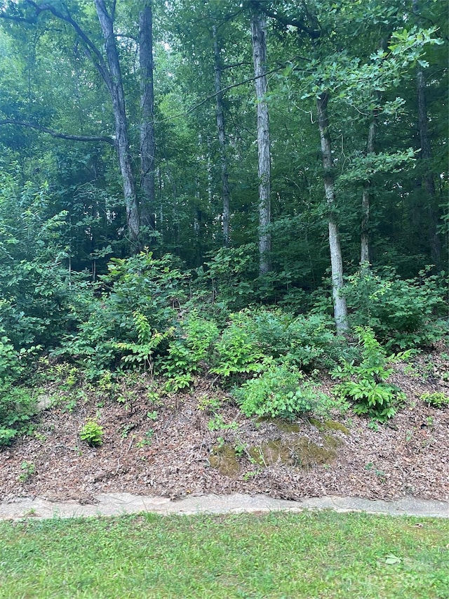 LOT132 Rocky Acres Rd Unit 132, Hickory NC, 28601 land for sale