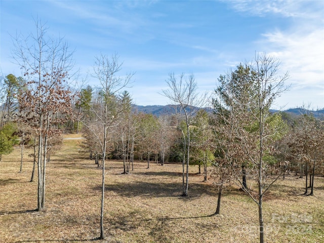 Listing photo 3 for 415 Pisgah Vista Rd Unit 35, Fletcher NC 28732