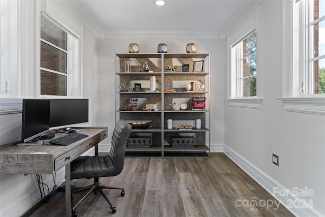 office featuring crown molding and hardwood / wood-style flooring