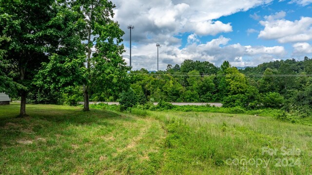 1147 Old Linville Rd, Marion, NC 28752 - photo 5