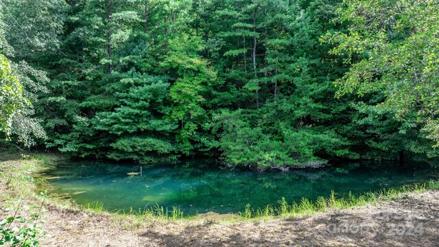 1147 Old Linville Rd, Marion, NC 28752 - photo 14