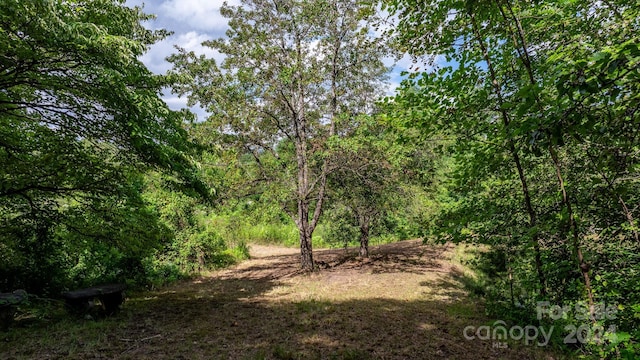 1147 Old Linville Rd, Marion, NC 28752 - photo 16