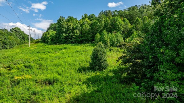1147 Old Linville Rd, Marion, NC 28752 - photo 18