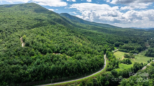 1147 Old Linville Rd, Marion, NC 28752 - photo 44