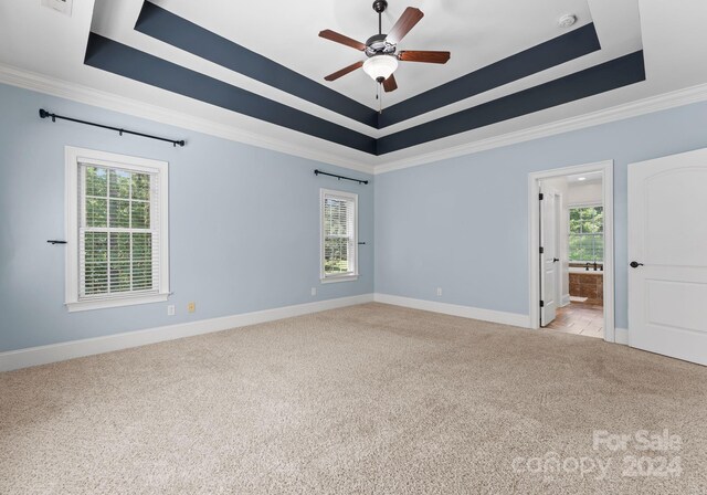 carpeted empty room featuring a raised ceiling and a wealth of natural light