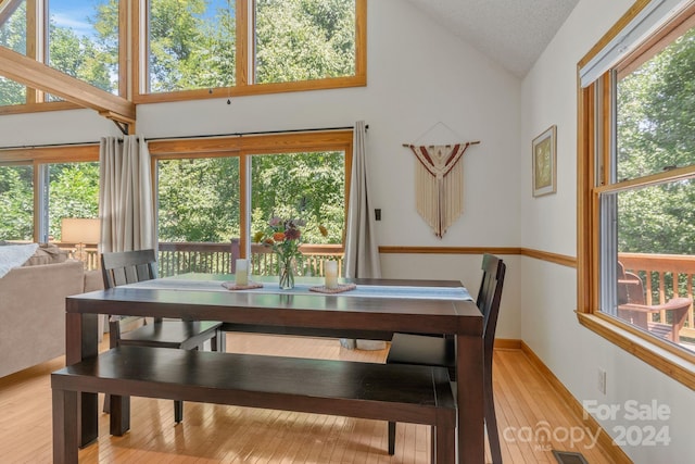 dining space featuring lofted ceiling, a textured ceiling, and light hardwood / wood-style flooring