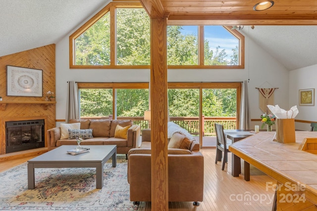 living room featuring a wealth of natural light, a large fireplace, and light hardwood / wood-style floors