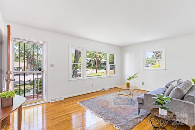 living room featuring a wealth of natural light and light hardwood / wood-style flooring