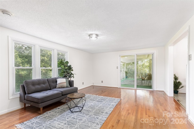 sitting room featuring a textured ceiling and hardwood / wood-style flooring