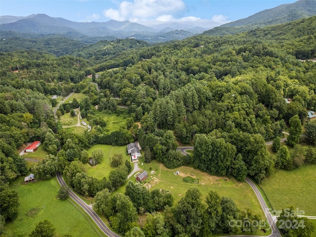 bird's eye view with a wooded view and a mountain view